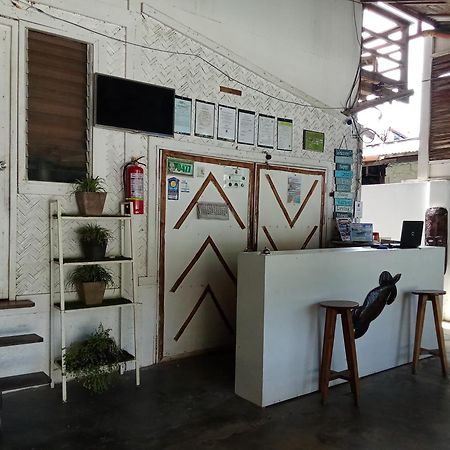Tribal Xperience Guesthouse San Vicente  Exterior foto
